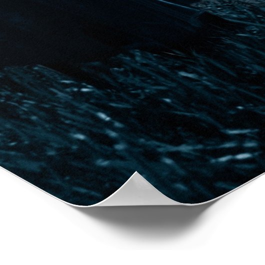 Crow Witz Poster (Ecke)