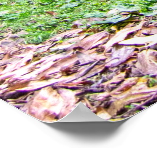 Crow Wood Park, Sowerby Bridge Poster (Ecke)