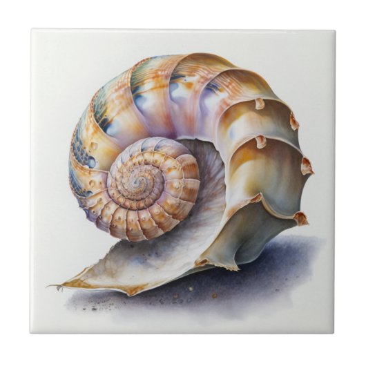 Crowie Conch Muschel Watercolor Tile Fliese (Vorderseite)