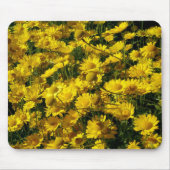 Crown Daisis / Chrysanthemum Coronarium Mousepad (Vorne)