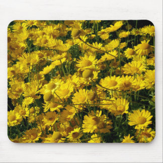 Crown Daisis / Chrysanthemum Coronarium Mousepad