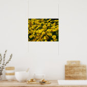 Crown Daisis / Chrysanthemum Coronarium Poster (Küche)