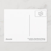 Crown Daisis / Chrysanthemum Coronarium Postkarte (Rückseite)