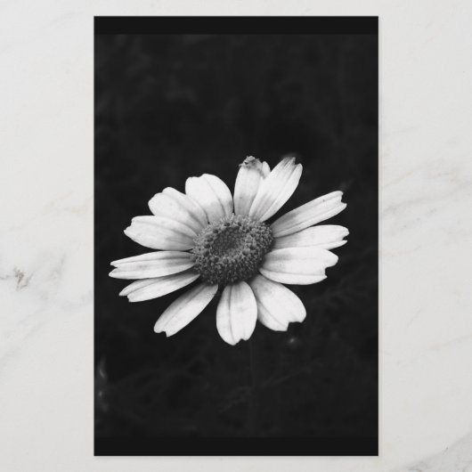 Crown Daisy Briefpapier (Vorderseite)
