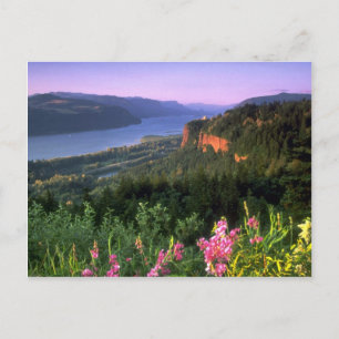 Crown Point, Columbia River Gorge, Oregon Postkarte