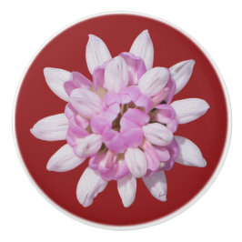 Crown Vetch #1 Keramikknauf