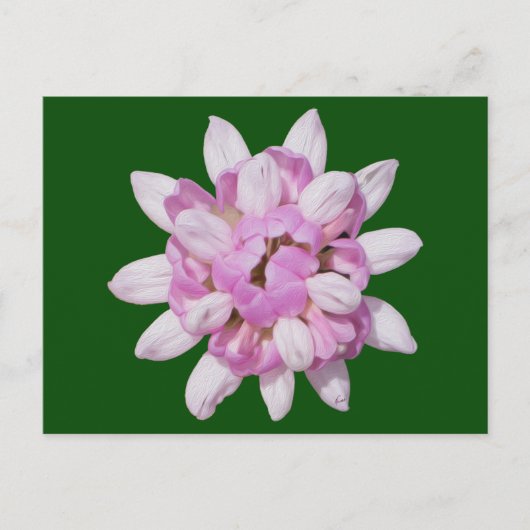 Crown Vetch #1 Postkarte (Vorderseite)