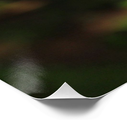 Crowned Crane Bird Perfect Poster (Ecke)