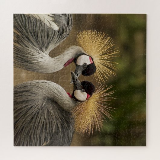 Crowned Cranes Jigsaw Puzzle (Horizontal)