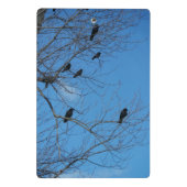 Crows Mini Clipboard Klemmbrett (Rückseite)