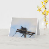 Crows Nest in Ak Karte (Gelbe Blume)