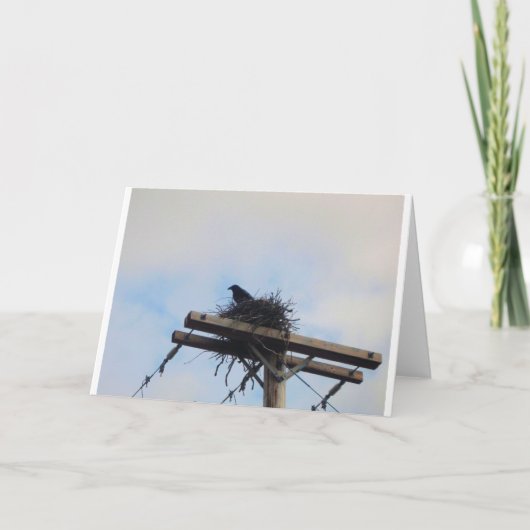 Crows Nest in Ak Karte (Vorderseite)