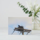 Crows Nest in Ak Postkarte (Stehend Vorderseite)