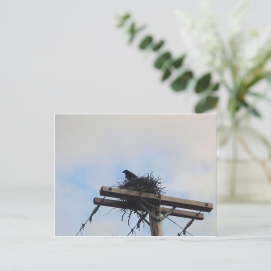 Crows Nest in Ak Postkarte (Stehend Vorderseite)