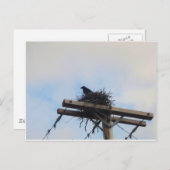 Crows Nest in Ak Postkarte (Vorne/Hinten)
