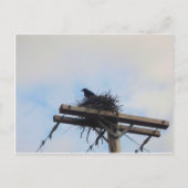 Crows Nest in Ak Postkarte (Vorderseite)