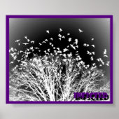 Crows Poster (Vorne)