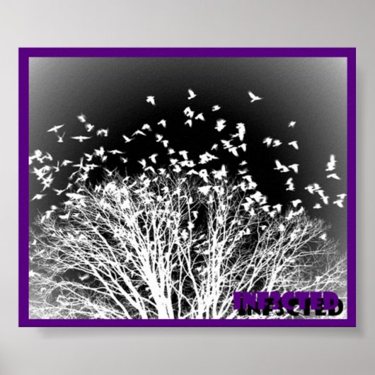 Crows Poster (Vorne)