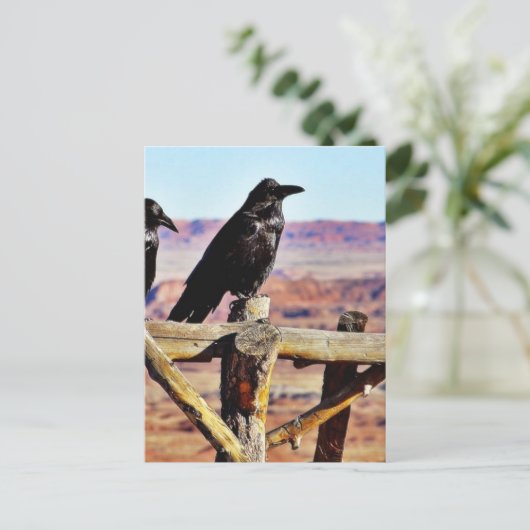 Crows Ravens Birds Black Postkarte (Stehend Vorderseite)