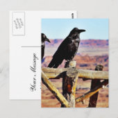 Crows Ravens Birds Black Postkarte (Vorne/Hinten)