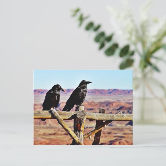 Crows Ravens Birds Black Postkarte (Stehend Vorderseite)