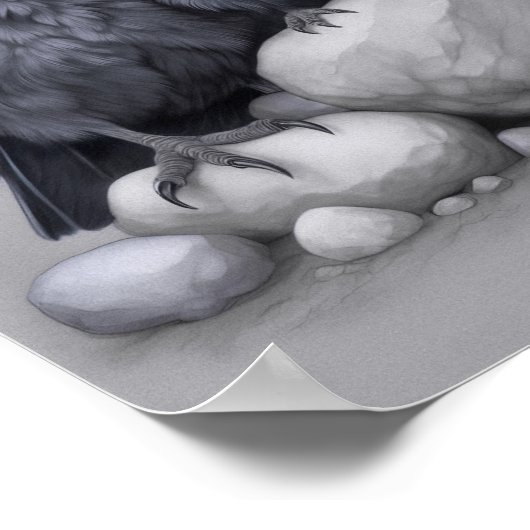 Crows Rock! Poster mit Krähen Eltern und Kind (Ecke)