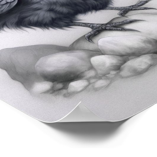 Crows Rock! Poster niedliche Krähe auf Steinen (Ecke)