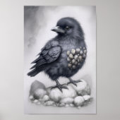 Crows Rock! Poster niedliche Krähe auf Steinen (Vorne)