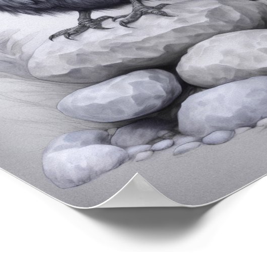 Crows Rock! Poster von Krähe mit Hut auf Steinen (Ecke)