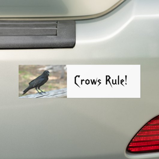 Crows Rule Autoaufkleber (Auf Auto)