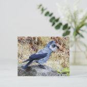 Crowschnauzer Postkarte (Stehend Vorderseite)