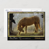 Cruella Post Card Postkarte (Vorne/Hinten)