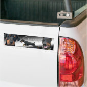 Cruisey kundenspezifischer Dobermann Aufkleber Autoaufkleber (Auf Lkw)