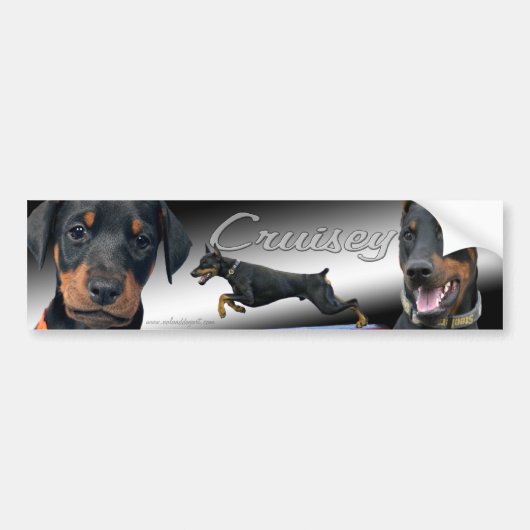 Cruisey kundenspezifischer Dobermann Aufkleber Autoaufkleber (Vorne)