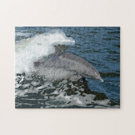 Cruisin' Dolphin Puzzle (Horizontal)