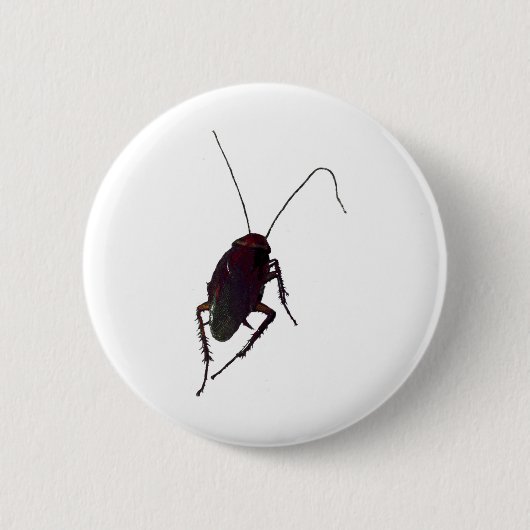 Crunchy Cockroach Button (Vorderseite)
