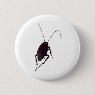 Crunchy Cockroach Button
