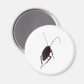 Crunchy Cockroach Magnet (Vorderseite/Rückseite)