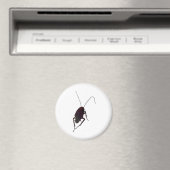 Crunchy Cockroach Magnet (In Situ (Geschirrspüler))