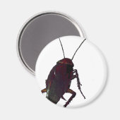 Crunchy Cockroach Magnet (Vorderseite/Rückseite)