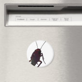 Crunchy Cockroach Magnet (In Situ (Geschirrspüler))