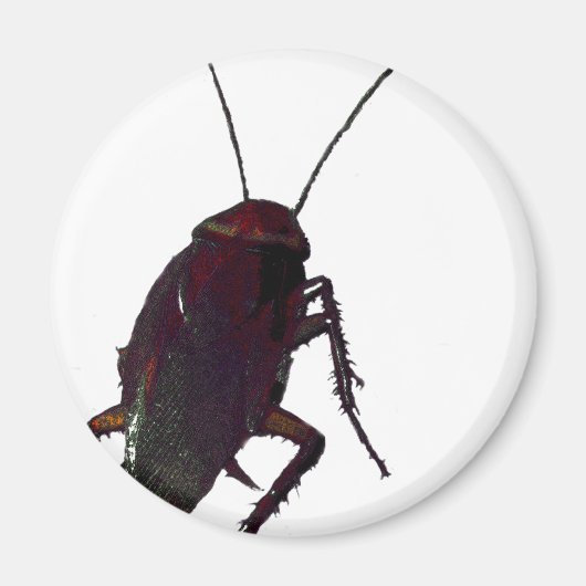 Crunchy Cockroach Magnet (Vorne)