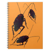 Crunchy Cockroach Notizblock (Vorderseite)