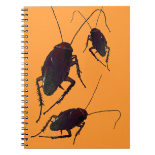 Crunchy Cockroach Notizblock