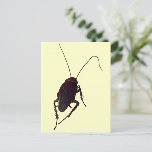 Crunchy Cockroach Postkarte (Stehend Vorderseite)