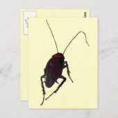 Crunchy Cockroach Postkarte (Vorne/Hinten)