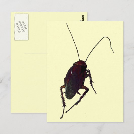 Crunchy Cockroach Postkarte (Vorne/Hinten)