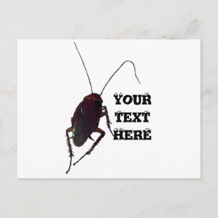 Crunchy Cockroach Postkarte
