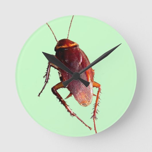 Crunchy Cockroach Runde Wanduhr (Vorderseite)