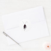 Crunchy Cockroach Runder Aufkleber (Umschlag)